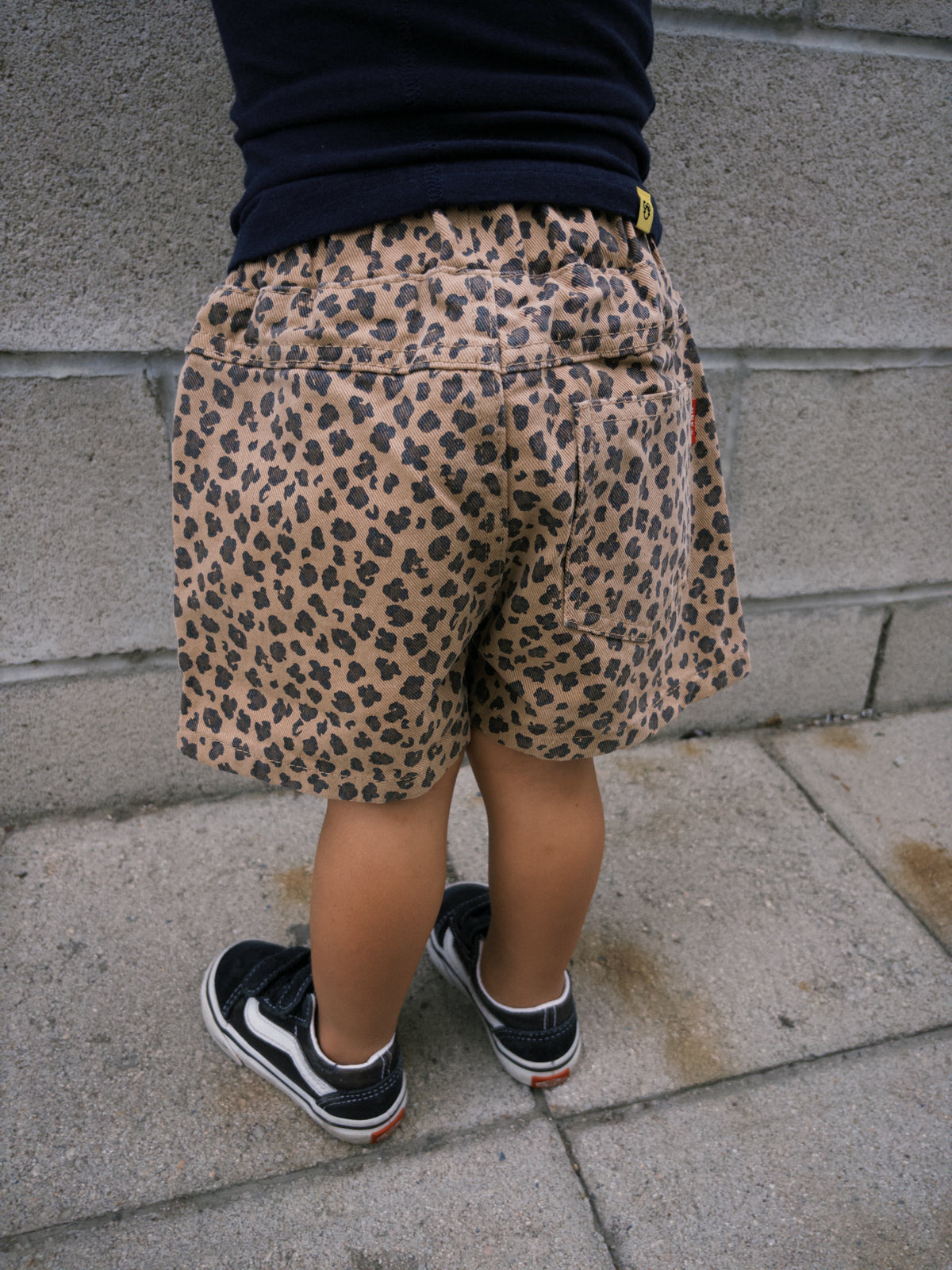 Leopard Shorts