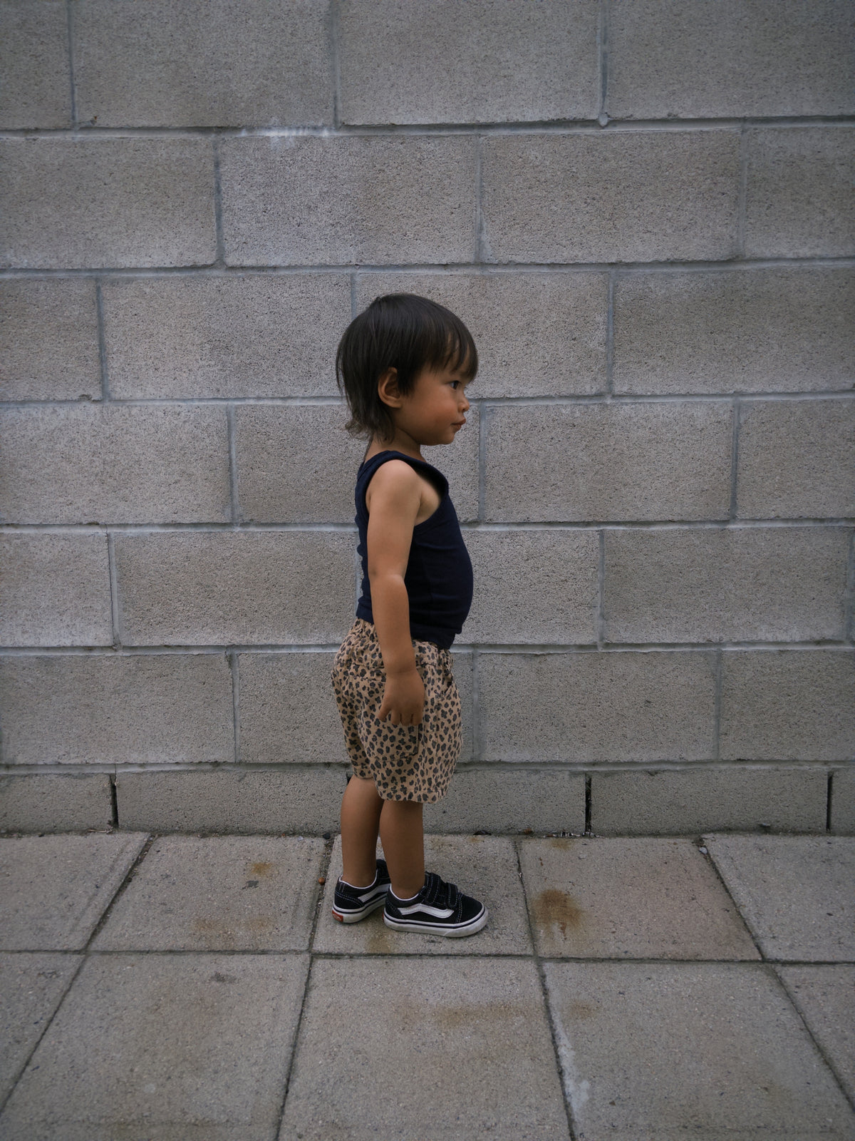 Leopard Shorts