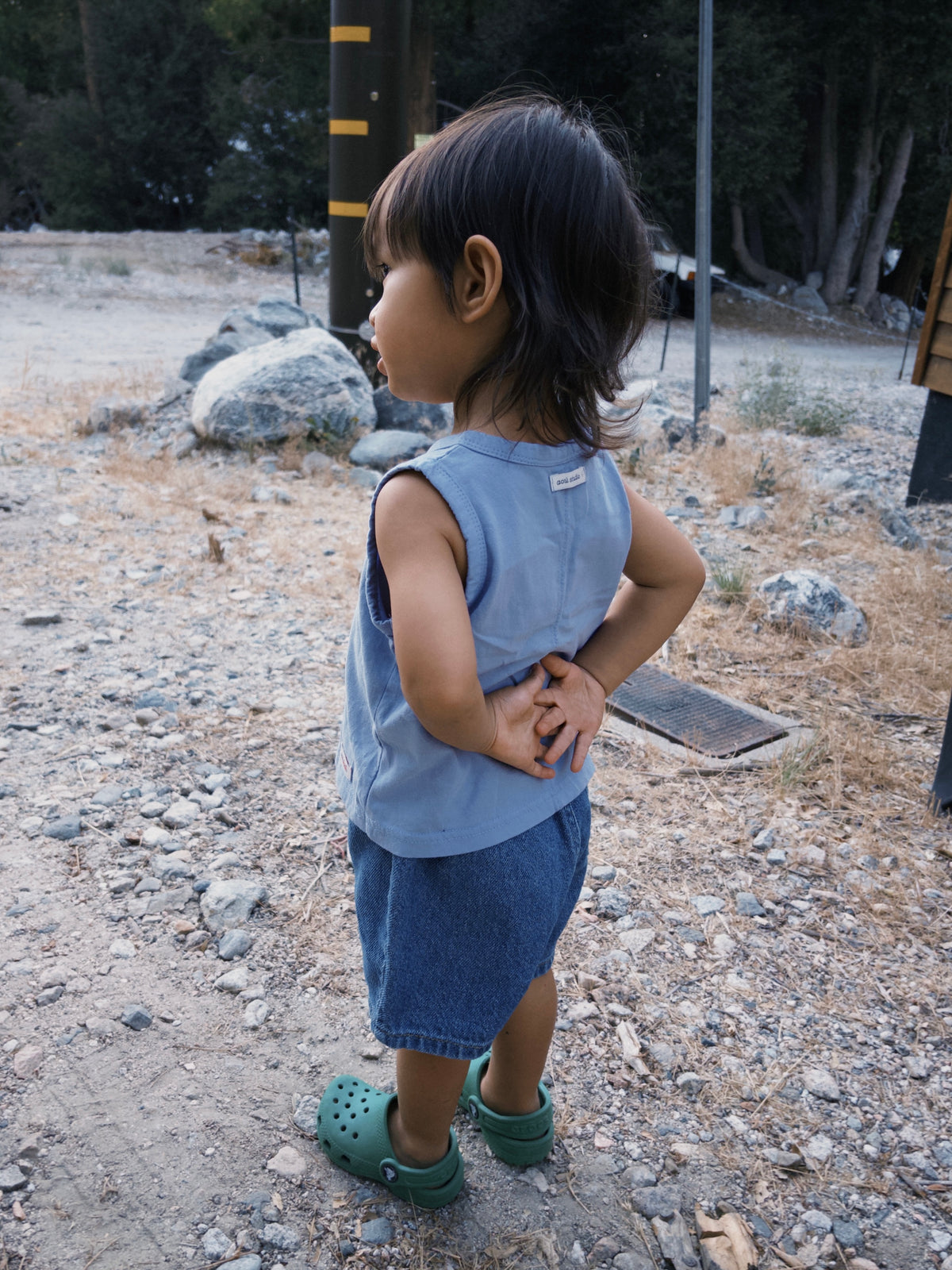 Coast Sleeveless - Purple