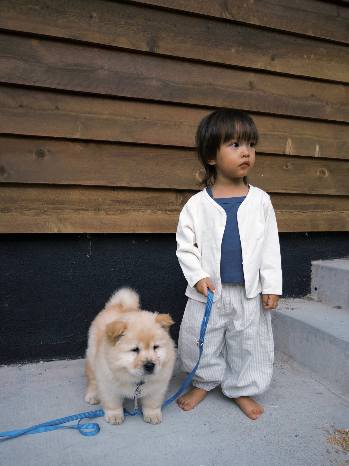Cozy Pants - Gray