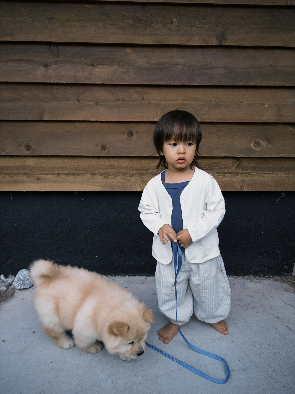 Cozy Pants - Gray
